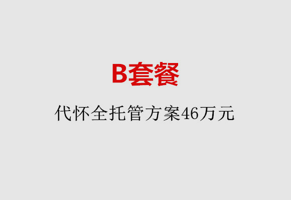 武汉B套餐：代怀全托管方案46万元